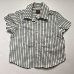 Tea Collection Button Down